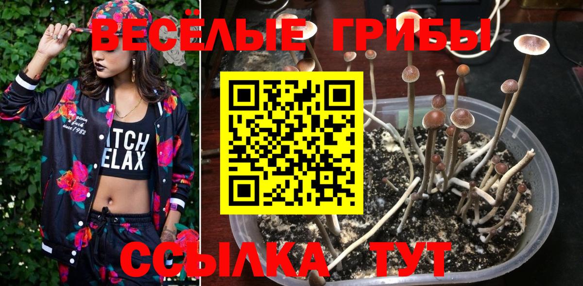 Михайловка  Галлюциногенные грибы ЛСД  Вход с VPN 